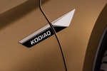 Хромированные накладки на крыло и дверь OEM-Tuning Skoda Kodiaq 2016-2019