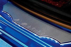 Накладки на пороги алюминиевые с подсветкой (вариант 1) ArtX Hyundai Grandeur HG 2011-2019 ― Auto-Clover