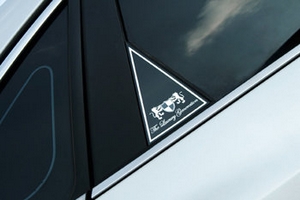 Накладки на стойки дверей ArtX (тип - С) Hyundai Grandeur TG 2005-2011 ― Auto-Clover