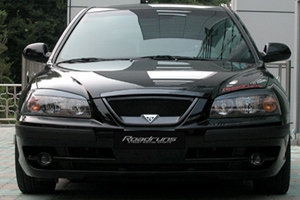Решетка радиатора RoadRuns (неокрашено) Hyundai Elantra 2000-2005 ТагАЗ ― Auto-Clover