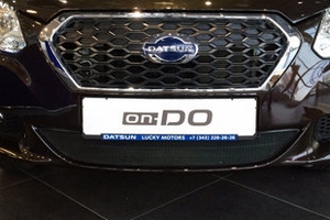 Сетка защитная в бампер Standart черный Strelka Datsun on-DO 2014-2019 ― Auto-Clover