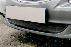 Сетка защитная в бампер Standart черный Strelka Hyundai Accent 2001-2005 ТагАЗ ― Auto-Clover