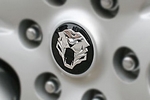 Эмблема Tigris на диски (вставка) Эмблемы и логотипы 