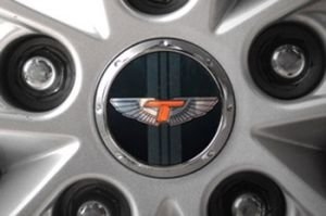 Эмблема Tomato Wing Stripe на диски (вставка) Эмблемы и логотипы  ― Auto-Clover