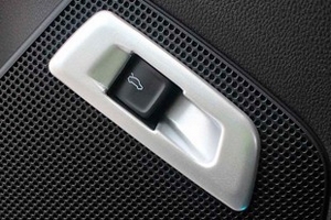 Накладка на кнопку открытия багажника пластиковая OEM-Tuning Skoda Kodiaq 2016-2019 ― Auto-Clover