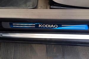 Накладки на дверные пороги пластиковые OEM-Tuning Skoda Kodiaq 2016-2019 ― Auto-Clover