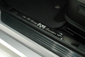 Накладки на пороги ArtX Hyundai Sonata 2009-2014 ― Auto-Clover