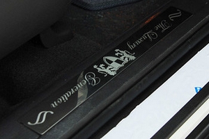 Накладки на пороги ArtX Hyundai Santa Fe 2006-2009 ― Auto-Clover