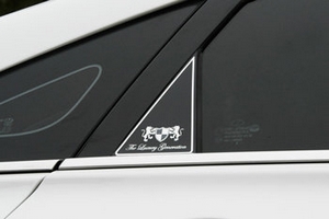 Накладки на стойки дверей ArtX (тип - С) Hyundai Sonata 2009-2014 ― Auto-Clover