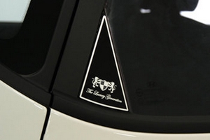 Накладки на стойки дверей ArtX (тип - С) Hyundai i30 2007-2012 ― Auto-Clover