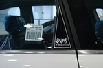 Накладки на стойки дверей ArtX (тип - С) Chevrolet Captiva 2006-2019