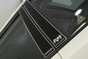 Накладки на стойки дверей ArtX (тип - В) Hyundai i30 2007-2012 ― Auto-Clover