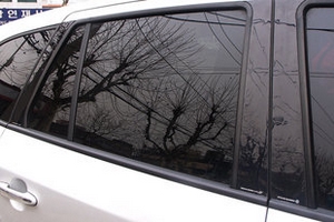 Накладки на стойки дверей (тип B и C) Racetech Hyundai Santa Fe 2006-2009 ― Auto-Clover