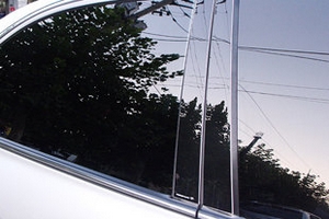 Накладки на стойки дверей (тип B) Racetech Hyundai Sonata 2001-2005 ТагАЗ ― Auto-Clover