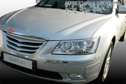 Решетка радиатора ArtX Hyundai Sonata 2004-2010 0532
