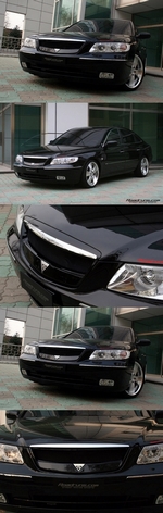 Решетка радиатора RoadRuns (неокрашено) Hyundai Grandeur TG 2005-2011