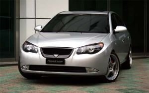 Решетка радиатора RoadRuns (окрашено) Hyundai Elantra 2006-2010 ― Auto-Clover