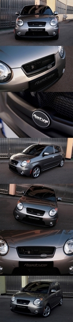 Решетка радиатора RoadRuns (окрашено) KIA Picanto 2004-2011