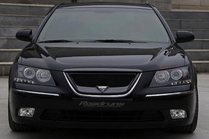 Решетка радиатора RoadRuns (окрашено) Hyundai Sonata 2004-2010 ― Auto-Clover