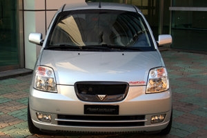 Решетка радиатора RoadRuns (окрашено) KIA Picanto 2004-2011 ― Auto-Clover