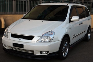 Решетка радиатора RoadRuns (окрашено) KIA Carnival 2006-2014 ― Auto-Clover