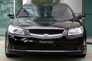 Решетка радиатора RoadRuns (окрашено) Chevrolet Epica 2006-2011 ― Auto-Clover