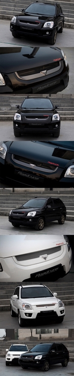 Решетка радиатора RoadRuns (окрашено) KIA Sportage 2004-2009