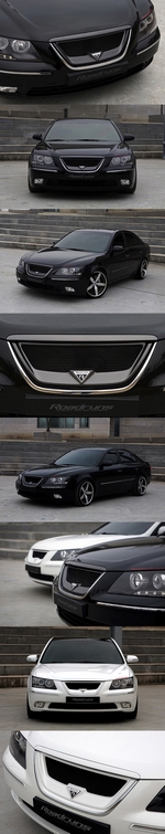 Решетка радиатора RoadRuns (окрашено) Hyundai Sonata 2004-2010