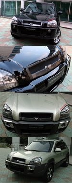 Решетка радиатора RoadRuns (окрашено) Hyundai Tucson 2004-2009