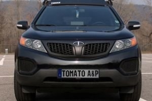 Решетка радиатора Tomato (черная) KIA Sorento 2009-2012 ― Auto-Clover