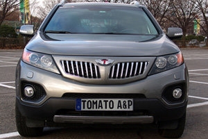 Решетка радиатора Tomato (окрашено) KIA Sorento 2009-2012 ― Auto-Clover