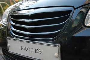 Решётка радиатора Eagles Hyundai Elantra 2006-2010 ― Auto-Clover