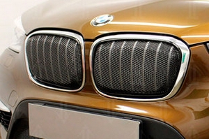 Сетка защитная 3D в решетку радиатора Premium черный Strelka BMW X1 (F48) 2015-2019 ― Auto-Clover