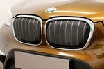 Сетка защитная 3D в решетку радиатора Premium черный Strelka BMW X1 (F48) 2015-2019