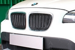 Сетка защитная 3D в решетку радиатора Premium черный Strelka BMW X1 (E84) 2009-2015