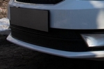 Сетка защитная в бампер (2 элемента) Premium черный Strelka Skoda Octavia III 2013-2019