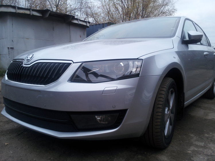 Сетка защитная в бампер (2 элемента) Standart черный Strelka Skoda Octavia III 2013-2019 no.6416