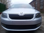 Сетка защитная в бампер (2 элемента) Standart черный Strelka Skoda Octavia III 2013-2019