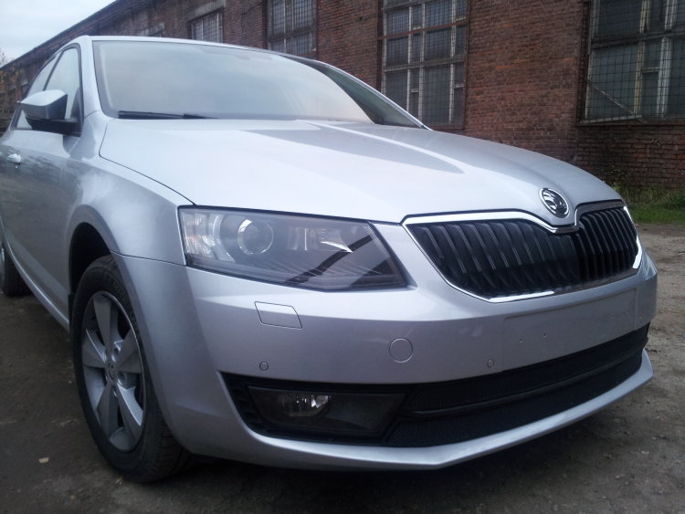 Сетка защитная в бампер (2 элемента) Standart черный Strelka Skoda Octavia III 2013-2019 no.6416
