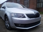 Сетка защитная в бампер (2 элемента) Standart черный Strelka Skoda Octavia III 2013-2019