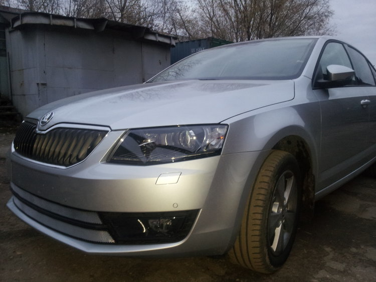 Сетка защитная в бампер (2 элемента) Standart хром Strelka Skoda Octavia III 2013-2019 no.6415
