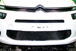 Сетка защитная в бампер Optimal черный Strelka Citroen C4 Picasso II 2013-2019 ― Auto-Clover
