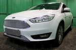 Сетка защитная в бампер Optimal хром Strelka Ford Focus III 2011-2019