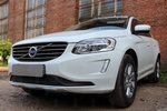 Сетка защитная в бампер Premium черный Strelka Volvo XC60 2008-2017