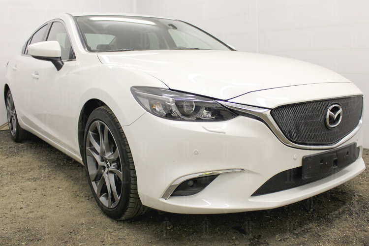 Сетка защитная в бампер Premium черный Strelka Mazda 6 III 2013-2019 13069