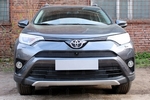 Сетка защитная в бампер Premium черный Strelka Toyota RAV4 2013-2019