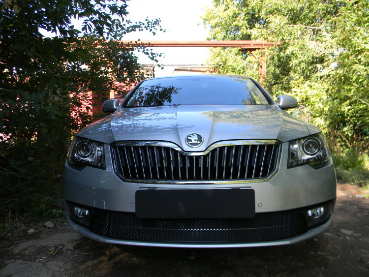 Сетка защитная в бампер Premium черный Strelka Skoda Superb II 2008-2015 no.6402