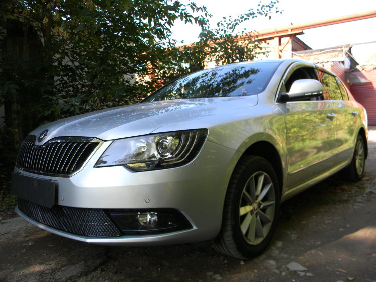 Сетка защитная в бампер Premium черный Strelka Skoda Superb II 2008-2015 no.6402