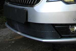 Сетка защитная в бампер Premium черный Strelka Skoda Superb II 2008-2015 ― Auto-Clover
