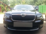 Сетка защитная в бампер Premium черный Strelka Skoda Superb II 2008-2015